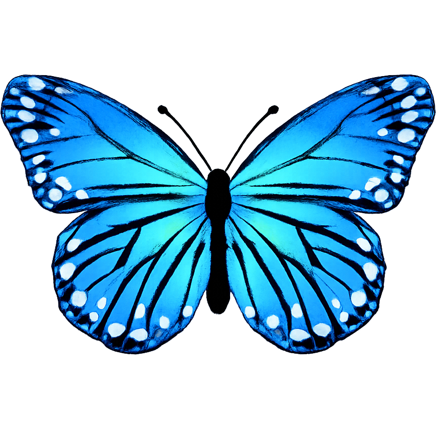 Blue butterfly